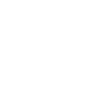 Icone sav